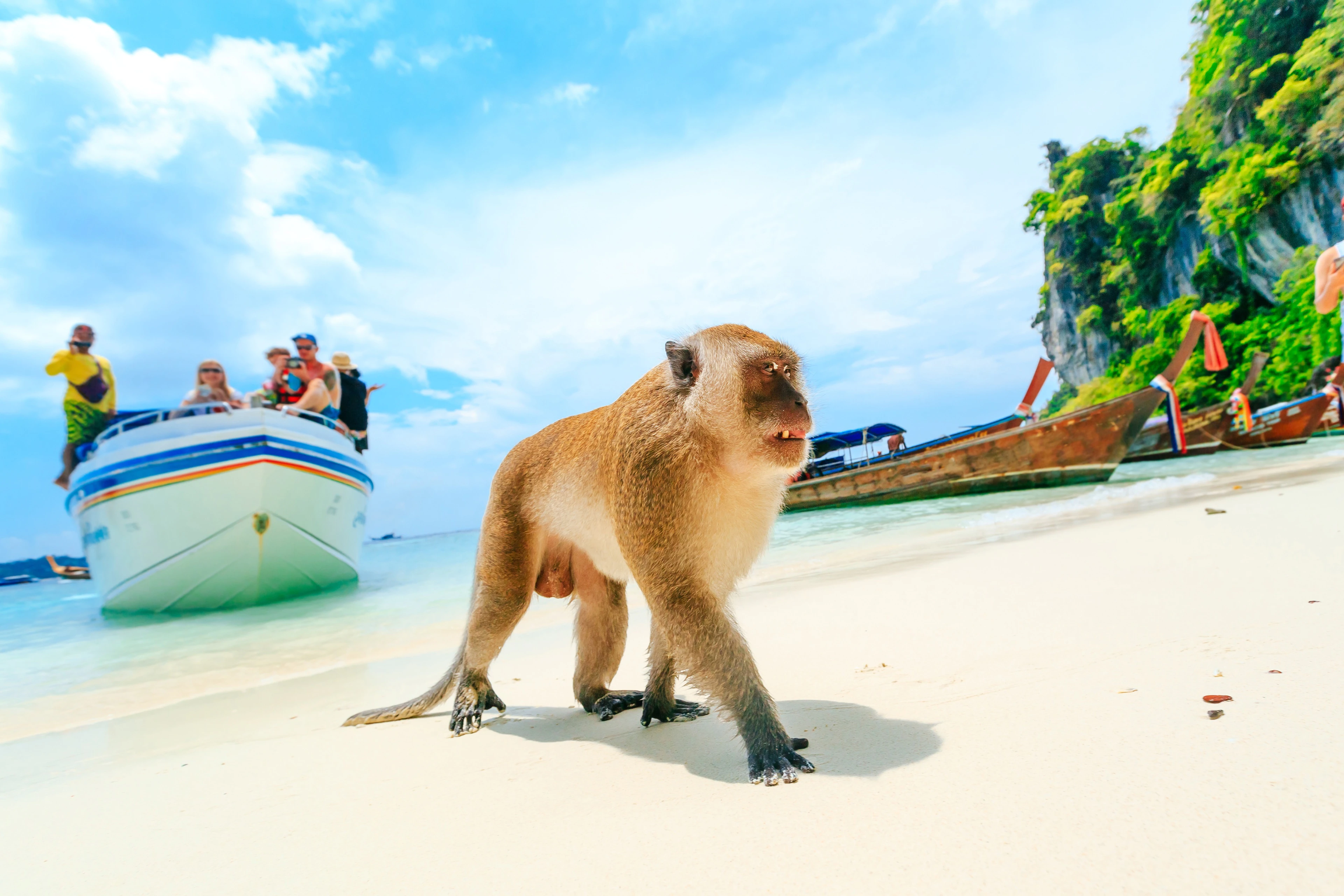 Thailand - Monkey Beach